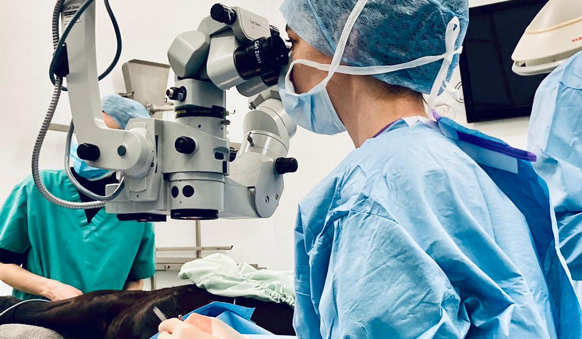 Augenheilkunde (GPCert Ophthalmology)